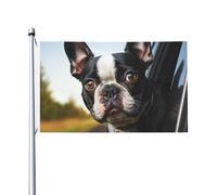 Bandiere da giardino a doppia faccia da 0,9 x 1,5 m, bandiera per esterni/interni Brezza bandiera cucciolo cane Boston Terrier Benvenuto Yard Banner per giardino, casa, vacanze, decorazione per la