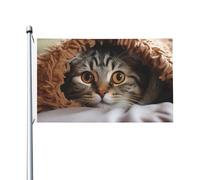 Bandiere da giardino a doppia faccia da 0,9 x 1,5 m, bandiera per esterni/interni Brezza bandiera gatto sotto coperta banner da cortile di benvenuto per giardino, casa, vacanze, decorazione per la
