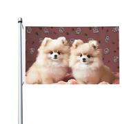 Bandiere da giardino a doppia faccia da 0,9 x 1,5 m, bandiera per esterni/interni Brezza bandiera Pomerania cuccioli e punto di benvenuto banner da cortile per giardino casa vacanza decorazione casa