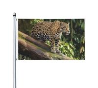 Bandiere da giardino a doppia faccia da 0,9 x 1,5 m, bandiera per esterni/interni Brezza leopardo sul tronco d'albero cascata banner di benvenuto per giardino casa vacanza decorazione casa bandiera