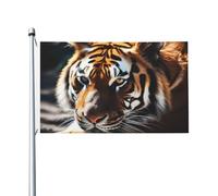 Bandiere da giardino a doppia faccia da 3 x 1,5 m bandiera da cortile esterno/interno bandiera brezza animale selvatico tigre benvenuto banner per giardino casa vacanza decorazione casa bandiera