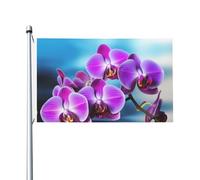 Bandiere da giardino a doppia faccia da 3 x 1,5 m bandiera da cortile esterno/interno bandiera brezza bella orchidea benvenuto banner per giardino casa vacanza decorazione casa bandiera giardino