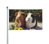 Bandiere da giardino a doppia faccia da 3 x 1,5 m, bandiera per esterni/interni, brezza, porcellini d'India, divertenti striscioni di benvenuto per giardino, casa, vacanze, decorazione per la casa