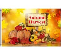 Bandiere Da Giardino Autumn Fall Thanksgiving Harvest Seasonal Vegetables Fruits Maple Leaves Pride Flag Resistente Intemperie Bandiera Decorativa Premium Bandiera Dell'Orgoglio Per 152X90CM