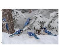 Bandiere Da Giardino Beautiful Birds On Snow Trees Wild Animals Winter Bandiera Decorativa Resistente Intemperie Bandiera Dell'Orgoglio Premium Pride Flag Per Festival Esterno Prato 152X90CM