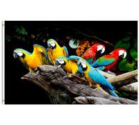 Bandiere Da Giardino Beautiful Parrot Birds Nature Wild Animals Bandiera Dell'Orgoglio Durevole Pride Flag Resistente Intemperie Bandiera Decorativa Per Esterno Portico Prato 152X90CM
