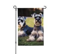 Bandiere da giardino bifacciali, 28 x 40 pollici, piccole bandiere da cortile per striscioni festivi esterni, bandiere da giardino con cani Schnauzer adulti, bandiere di benvenuto in tela da fattori