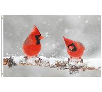 Bandiere Da Giardino Christmas Birds In Winter Snow Tree Wildlife Animal Bandiere Da Cortile Colore Vivido Bandiera Decorativa Durevole Bandiera Dell'Orgoglio Per Festival Esterno Prato 152X90CM