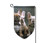 Bandiere da giardino con bulldog francese, bandiera verticale su entrambi i lati, 30,5 x 45,7 cm, bandiera stagionale primaverile estate per vacanze, fattoria, cortile, decorazione da appendere