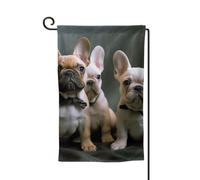 Bandiere da giardino con bulldog francese, bandiera verticale su entrambi i lati, 30,5 x 45,7 cm, bandiera stagionale primaverile estate per vacanze, fattoria, cortile, decorazione da appendere