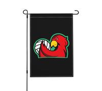 Bandiere da giardino con pappagallo prepotente che tiene una palla da pallavolo, 12 x 18 pollici, doppia faccia, bandiera da giardino, per casa, prato, patio, bandiere decorative, vacanze, stagioni, a