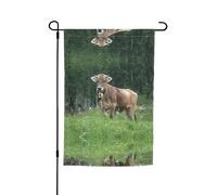 Bandiere da giardino con stampa di mucca svizzera marrone, 30,5 x 45,7 cm, double face, decorazione stagionale per la casa e per tutte le stagioni