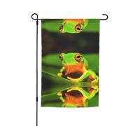 Bandiere da giardino con stampa di rane su entrambi i lati, 30,5 x 45,7 cm, decorazione stagionale per la casa e per tutte le stagioni