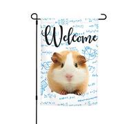 Bandiere da giardino Cute Guinea Premium Yard Flag Matematica Sfondo a tema Animale Design creativo Vacanza Festa Bandiera Outdoor Fattoria Decor Home Portico Bandiere 12 x 18 pollici