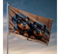 Bandiere da giardino divertenti con due simpatici cuccioli neri e marroni su pavimento in legno, decorazione per esterni, patio, bar (152 x 244 cm)