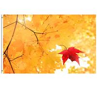 Bandiere Da Giardino Fall Maple Leaves Autumn Nature Thanksgiving Bandiera Dell'Orgoglio Premium Pride Flag Colore Vivido Bandiera Decorativa Per Portico Prato Esterno 152X90CM