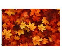 Bandiere Da Giardino Fall Maple Leaves Red Yellow Autumn Seasonal Bandiera Decorativa Durevole Bandiera Dell'Orgoglio Resistente Intemperie Pride Flag Per Festival Prato Esterno 152X90CM