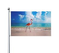 Bandiere Da Giardino Flamingos On The Bandiera Decorativa Resistente Intemperie Pride Flag Premium Bandiera Dell'Orgoglio Per Festival Prato Esterno 152X90CM