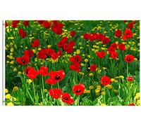 Bandiere Da Giardino Flower Red Poppy Field Farm Meadow Landscape Spring Summer Pride Flag Resistente Intemperie Bandiere Da Cortile Durevole Bandiera Dell'Orgoglio Per Portico Prato 152X90CM