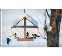 Bandiere Da Giardino Four Birds In Winter Bird Feeder Nature Wildlife Animal Seasonal Snowy Landscape Bandiera Dell'Orgoglio Colore Vivido Bandiere Da Cortile Durevole Pride Flag Per 152X90CM