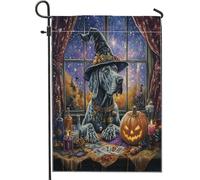 Bandiere da giardino per cani di Halloween, strega alano, 30,5 x 45,7 cm, double face, per decorazione esterna, motivo cucciolo di astrologia dei tarocchi, bandiera per casa, piccola bandiera da