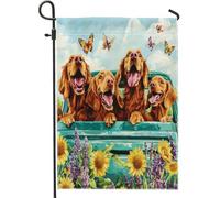 Bandiere da giardino per cani Spring Irish Setter 30,5 x 45,7 cm, per esterni, divertenti bandiere verticali in lino per la casa, il cortile e il prato, decorazione per esterni