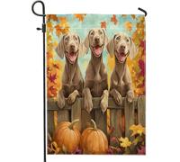 Bandiere da giardino per cani Weimaraner autunnali 30,5 x 45,7 cm, double face, decorative esterne, recinzioni autunnali, zucca, acero, bandiera, casa, cuccioli, animali domestici, piccola bandiera