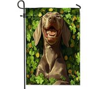 Bandiere da giardino per cani Weimaraner per il giorno di San Patrizio, 30,5 x 45,7 cm, double face, per esterni, motivo cucciolo di trifoglio, bandiera standard per la casa, trifoglio per animali
