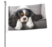 Bandiere da giardino personalizzate con occhielli, raffiguranti un Cavalier King Charles Spaniel, dimensioni 90 cm x 60 cm, ideali per appendere le bandiere.