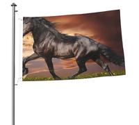 Bandiere da giardino personalizzate con occhielli, raffiguranti un cavallo che corre nella prateria, dimensioni 90 cm x 60 cm, perfette per appendere le bandiere.