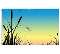 Bandiere Da Giardino Summer Spring Scenery Dragonfly Night Sunset Over The Swamp Bandiere Da Cortile Durevole Pride Flag Resistente Intemperie Bandiera Decorativa Per Prato Portico 152X90CM