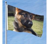 Bandiere da giardino vivaci su entrambi i lati, 1,5 x 2,3 m, striscioni per cuccioli di pastore tedesco, banner di benvenuto stagionale da cortile con occhielli in ottone decorazione sfondo