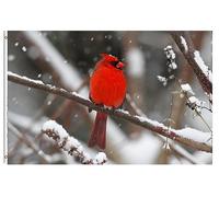 Bandiere Da Giardino Winter Northern Cardinal On A In A Snow Storm Pride Flag Colore Vivido Bandiere Da Cortile Durevole Bandiera Dell'Orgoglio Per Portico Prato Festival 152X90CM