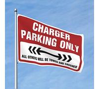 Bandiere da parete divertenti caricabatterie solo parcheggio bandiere per camera ragazze uomini decorazione grotta (dimensioni: 30 x 45 cm)