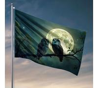 Bandiere da parete per ragazzi due gufi appollaiati su un ramo sotto una luna piena. Bandiera divertente bandiere per la stanza dei ragazzi (30 x 45 cm)