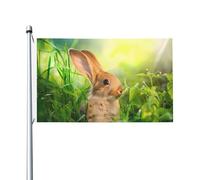 Bandiere decorative da giardino a forma di animale pasquale su entrambi i lati, adatte per balconi, portici, ecc.