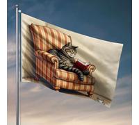 Bandiere decorative per la stanza, un gatto che legge un libro su una poltrona a righe. Bandiere alla moda per dormitorio universitario, accessori per grotte (30 x 45 cm)