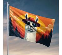 Bandiere decorative per la stanza, un lama che indossa occhiali da sole e un cappello si trova davanti a una bandiera colorata del tramonto, decorazione per il ponte del camper, per interni (120 x 180