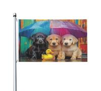 Bandiere di auguri con tre cuccioli di anatra seduta sotto l'ombrello, 3 x 1,5 m, striscione di auguri con occhielli per interni ed esterni, decorazioni per la casa