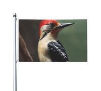 Bandiere di picchio per esterni, 9 x 1,5 m, bandiera stagionale da giardino con occhielli bandiera esterna per decorazioni per la casa sfondo fotografico