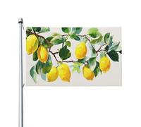 Bandiere dipinte a mano con limoni sui rami, 0,9 x 1,5 m, striscione di auguri stagionale con occhielli per interni ed esterni, decorazioni per la casa