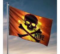 Bandiere divertenti per ragazze del dormitorio universitario Jolly Roger: Danger Ahead! Bandiera accessori per camera da letto bandiere per decorazione della stanza (152 x 244 cm)