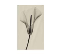 Bandiere floreali minimaliste con composizione botanica per la casa del cortile, 0,9 x 1,5 m, striscione di auguri con occhielli per interni ed esterni, decorazioni per la casa