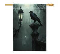 Bandiere horror per Halloween, 71 x 101 cm, double face, per esterni, vintage, libro magico, candela, corvo, tela verticale, bandiera per la casa, raccapricciante per cortile anteriore cortile stampa