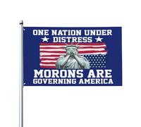Bandiere "Idioti governano l'America", cartello da giardino da 3x5 metri con la scritta "Una nazione in difficoltà"