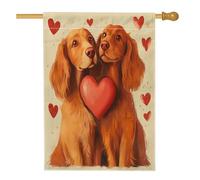 Bandiere irlandesi per la casa del cane, 71 x 101 cm, double face, per esterni, San Valentino, cuore carino in lino verticale, bandiere per la casa, bandiera per la casa, cortile anteriore animale