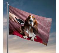 Bandiere per adolescenti governare il vostro animale domestico è importante per la loro salute. Bandiera pesca barca accessori adolescenti roba (30 x 45 cm)