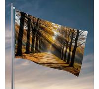 Bandiere per camera adolescenti ragazzi un sentiero alberato immerso nella luce del sole autunnale. Bandiera uomo grotta bar cortile decorazione (60 x 90 cm)