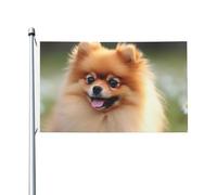 Bandiere per cani della Pomerania per esterni, 9 x 1,5 m, bandiera stagionale da giardino con occhielli bandiera esterna per decorazioni per la casa sfondo fotografico