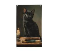 Bandiere per casa da cortile fantasy, con gattino nero su vecchi libri, 9 x 1,5 m, con occhielli, decorazioni per interni ed esterni, feste per la casa